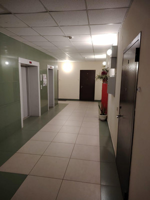 Продам трехкомнатную (3-комн.) квартиру, 45 стрелковой дивизии ул, 247и, Воронеж г