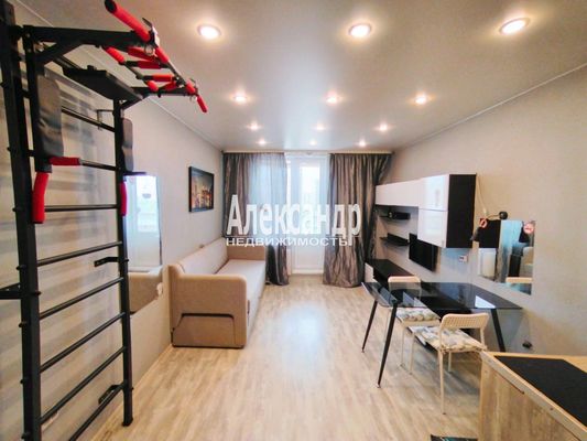 Продам однокомнатную (1-комн.) квартиру, Авиаторов Балтики пр-кт, 15, Мурино п