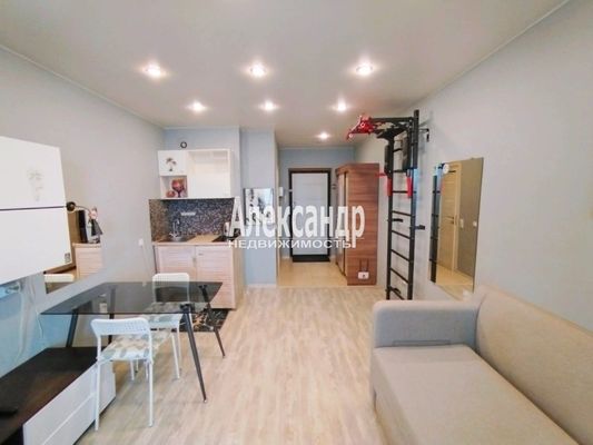 Продам однокомнатную (1-комн.) квартиру, Авиаторов Балтики пр-кт, 15, Мурино п