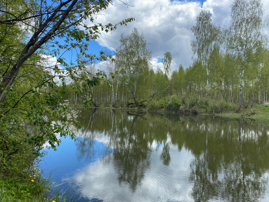 Продам дачу, СНТ Рассвет тер, 2, Разиньково с, 0 км от города
