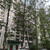 Продам трехкомнатную (3-комн.) квартиру, Искровский пр-кт, 4к3, Санкт-Петербург г
