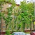 Продам двухкомнатную (2-комн.) квартиру, Солнечногорский проезд, 3к1, Москва г