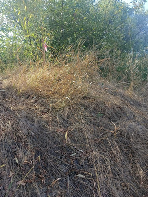 Продам участок 20 соток, ИЖС, Коммунаров ул, Гостагаевская ст-ца, 0 км от города