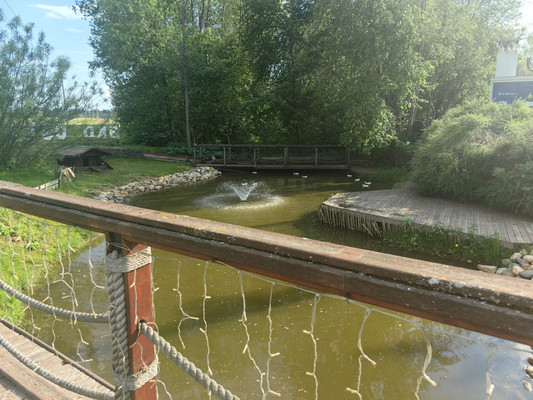 Продам участок 16 соток, Садоводство, СНТ Лесная сказка тер, Сляднево д, 0 км от города