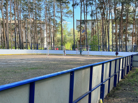 Продам однокомнатную (1-комн.) квартиру, 4, Дружный п