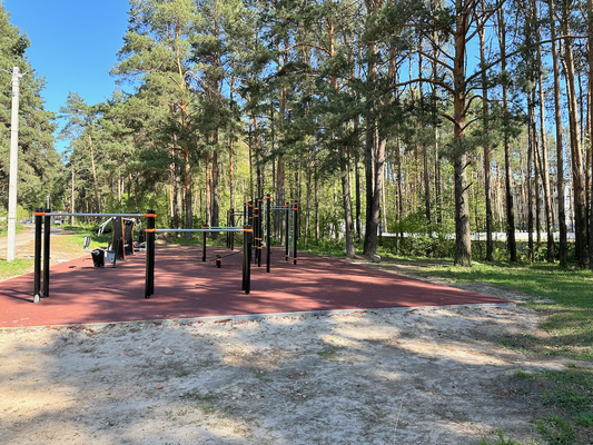 Продам однокомнатную (1-комн.) квартиру, 4, Дружный п