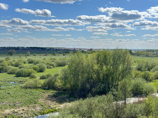 Продам однокомнатную (1-комн.) квартиру, 4, Дружный п