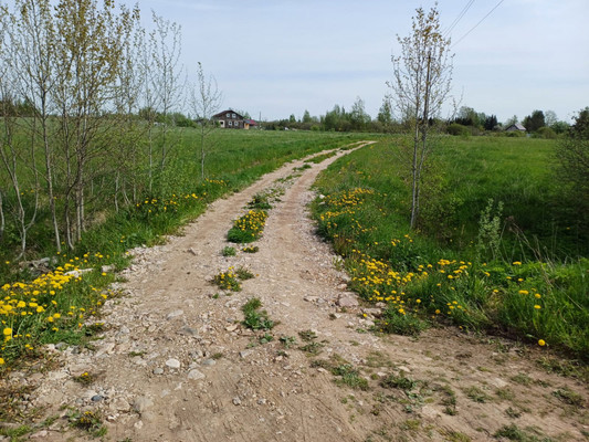 Продам участок 600 соток, ИЖС, Котовицы д, 0 км от города