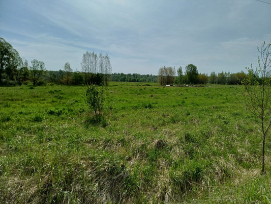 Продам землю для коммерческого использования 500 соток, Фермерское хоз., Тютицы д