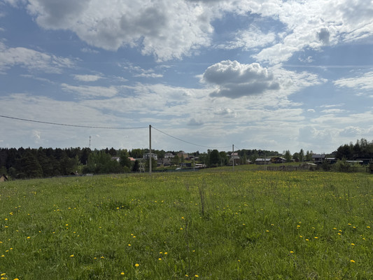 Продам участок 81 соток, ИЖС, Шустино д, 0 км от города