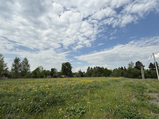 Продам участок 81 соток, ИЖС, Шустино д, 0 км от города