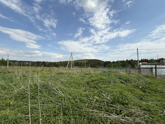 Продам участок 81 соток, ИЖС, Шустино д, 0 км от города