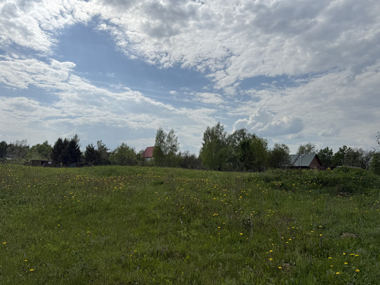 Продам участок 81 соток, ИЖС, Шустино д, 0 км от города