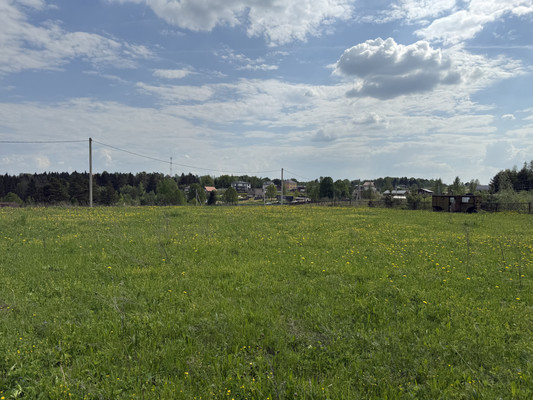 Продам участок 81 соток, ИЖС, Шустино д, 0 км от города