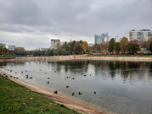 Продам однокомнатную (1-комн.) квартиру, Чертановская ул, 51к3, Москва г