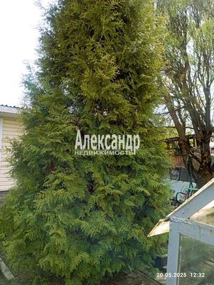 Продам дачу в поселке Портовик, 6-я Линия ул, Выборг г, 130 км от города