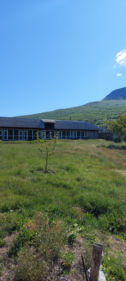 Продам участок 60 соток, ИЖС, Соколиное с, 0 км от города