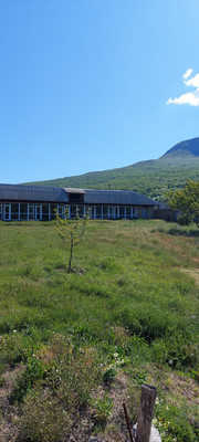 Продам участок 60 соток, ИЖС, Соколиное с, 0 км от города