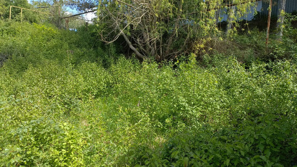 Продам участок 6 соток, Фермерское хоз., Кизиловое с, 0 км от города