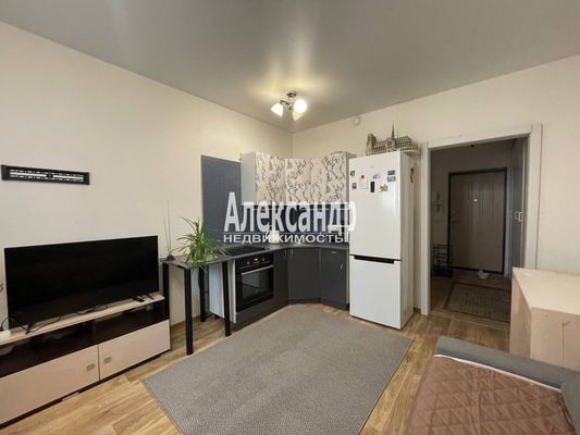 Продам однокомнатную (1-комн.) квартиру, Охтинская аллея, 12, Мурино п