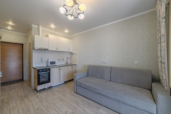 Продам однокомнатную (1-комн.) квартиру, Светлая ул, 15, Засечное с