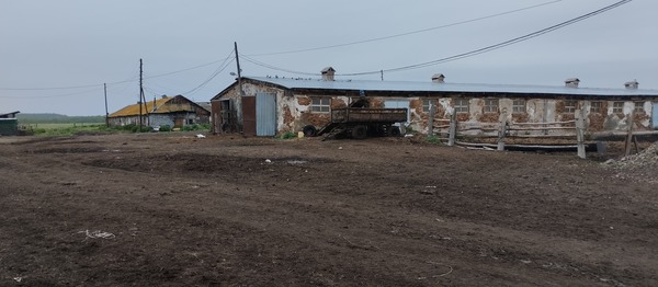 Продам землю для коммерческого использования 35 000 соток, ЛПХ, Восточная ул, 25, Замараевское д