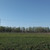 Продам участок 21 соток, ИЖС, Клопицы д, 0 км от города