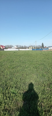 Продам участок 21 соток, ИЖС, Клопицы д, 0 км от города