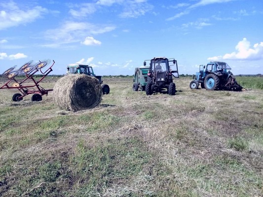 Продам землю для коммерческого использования 35 000 соток, ЛПХ, Восточная ул, 25, Замараевское д
