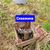 Продам дом в поселке СНТ &amp;quot; Павловское-2&amp;quot;, Главная линия (Павловское-2 тер. СНТ) ул, 3/8, Павловск г, 18 км от города