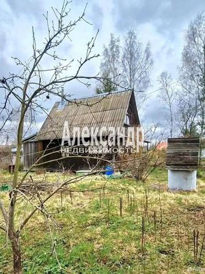 Продам дом в поселке СНТ &amp;quot; Павловское-2&amp;quot;, Главная линия (Павловское-2 тер. СНТ) ул, 3/8, Павловск г, 18 км от города