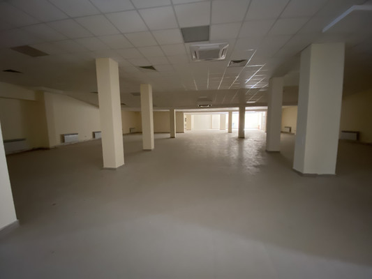 Сдам коммерческое помещение 419 м2, Московский пр-кт, 97, Воронеж г