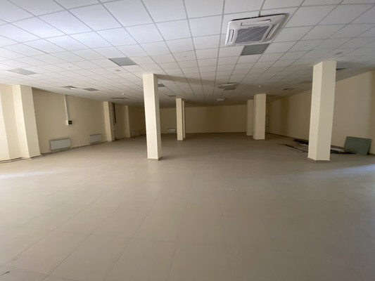 Сдам коммерческое помещение 419 м2, Московский пр-кт, 97, Воронеж г