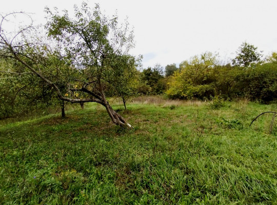 Продам дом, Красноармейская ул, 1, Тверская ст-ца, 0 км от города