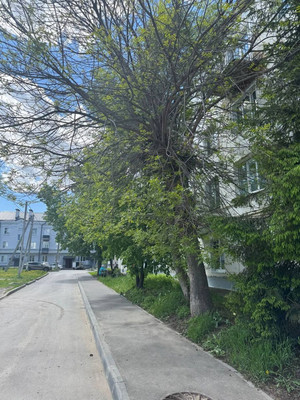 Продам трехкомнатную (3-комн.) квартиру, Комсомольская ул, 24, Зеленодольск г