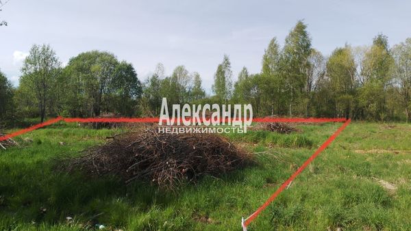 Продам участок 13 соток, ИЖС, Ромашки п, 88 км от города