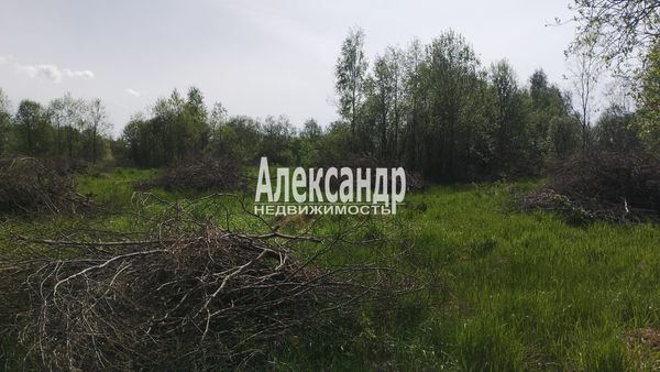 Продам участок 13 соток, ИЖС, Ромашки п, 88 км от города