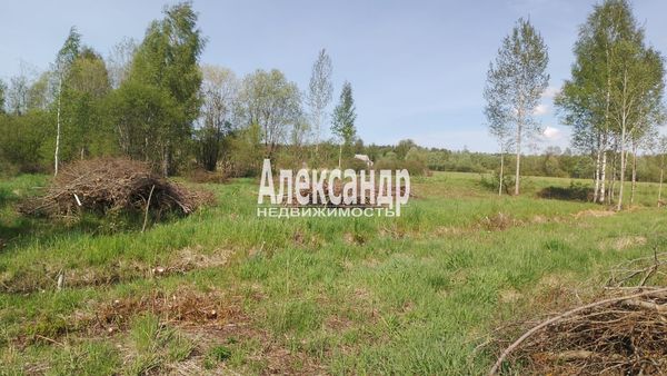 Продам участок 13 соток, ИЖС, Ромашки п, 88 км от города