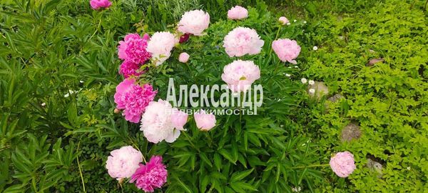 Продам дом, 7 Линия (Колос тер. СНТ) ул, 575, Кипень д, 20 км от города