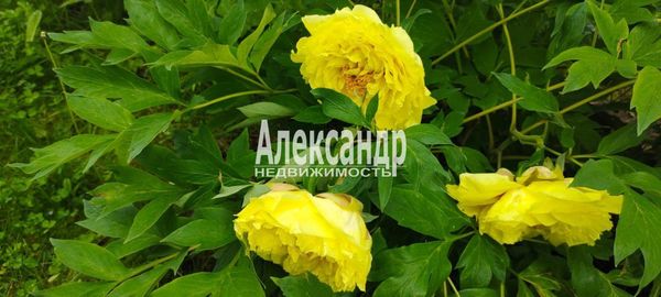Продам дом, 7 Линия (Колос тер. СНТ) ул, 575, Кипень д, 20 км от города