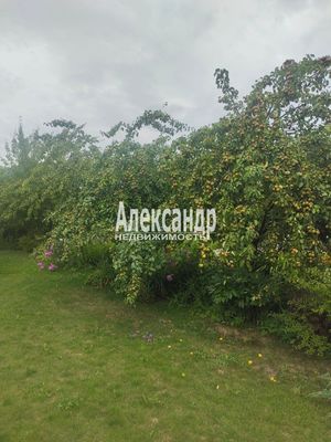 Продам дом, 7 Линия (Колос тер. СНТ) ул, 575, Кипень д, 20 км от города