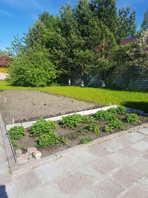 Продам дом, Березки тер. ДНТ, 304, Арамиль г, 0 км от города