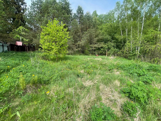 Продам участок 6 соток, Фермерское хоз., Радуга 2 снт, Дятлово д, 0 км от города