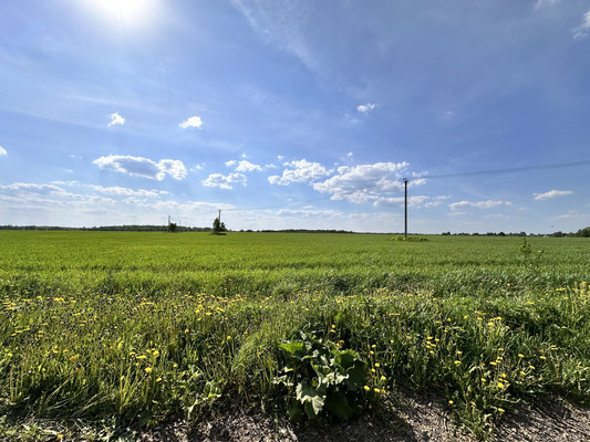 Продам дом, 21, Старково д, 0 км от города
