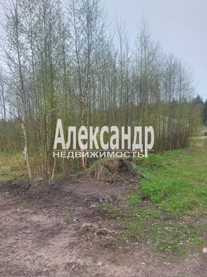 Продам участок 11 соток, ДНП, Береговой проезд, Выборг г, 130 км от города
