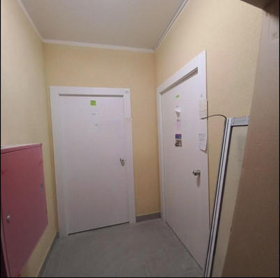 Продам однокомнатную (1-комн.) квартиру, летчика Волчкова (Новые Островцы мкр) ул, 2, Островцы д