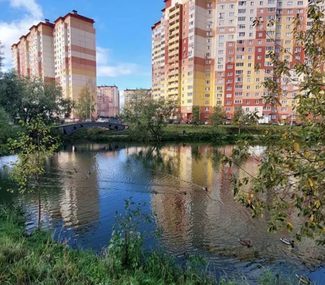 Продам однокомнатную (1-комн.) квартиру, летчика Волчкова (Новые Островцы мкр) ул, 2, Островцы д