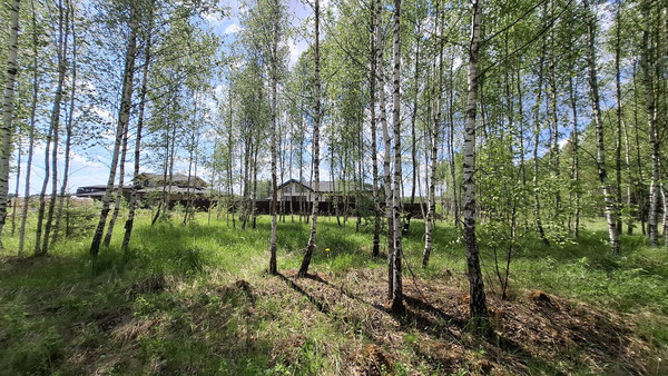 Продам участок 10,5 соток, ИЖС, Новая ул, Мышенское с, 0 км от города