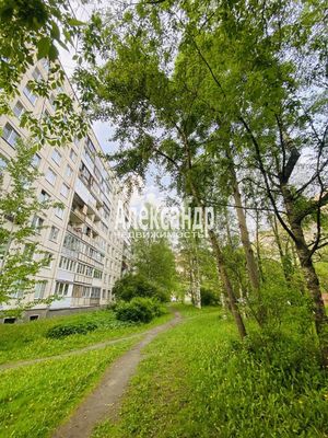 Продам двухкомнатную (2-комн.) квартиру, Шотмана ул, 9к1, Санкт-Петербург г
