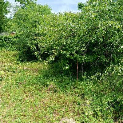 Продам дом, Центральная ул, 14, Майкоп г, 0 км от города